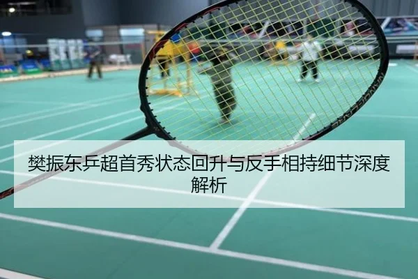 樊振东乒超首秀状态回升与反手相持细节深度解析